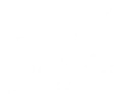 Holi Print RD